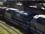 RUMO 9597